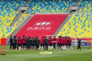 成都蓉城vs天津津门虎赛前踩场，德尔加多在列