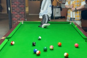 太有节目效果！范志毅用三包泡面打脸一众明星