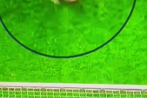 维尼修斯下场时告诉马竞球迷：我们拿到15次欧冠冠军，你们零次