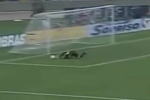 老背景板了阿亚拉被大罗晃了个趔趄